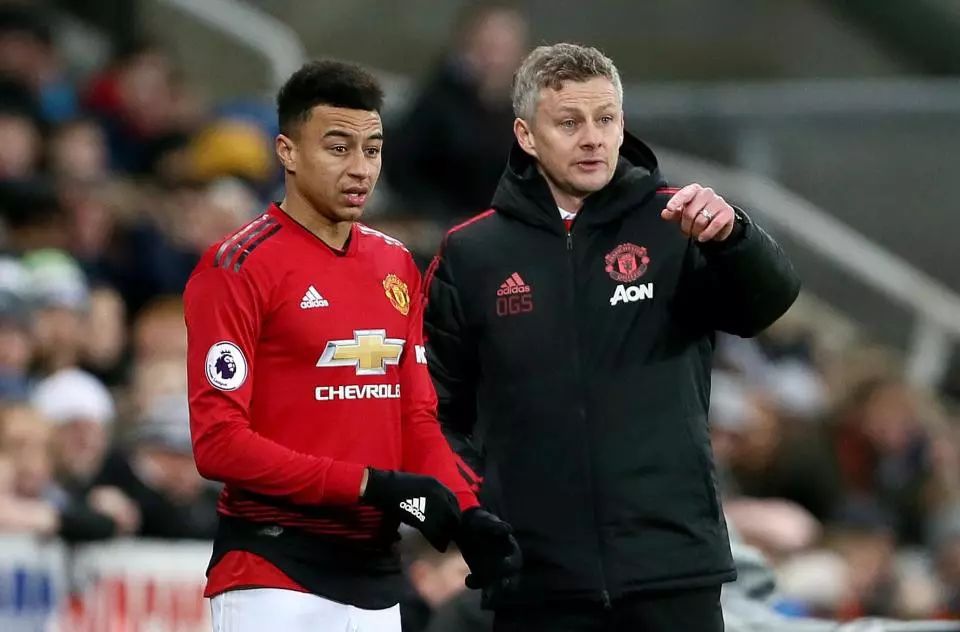 埃贝尔的发 埃贝尔的发